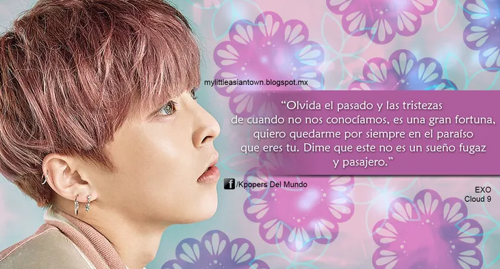 9039 55929 - Frases Exo