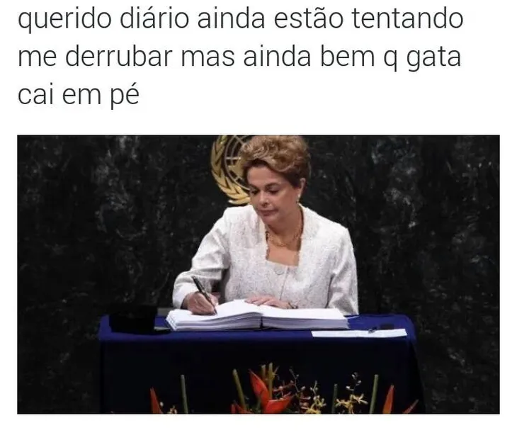 9095 40705 - Dilma Memes