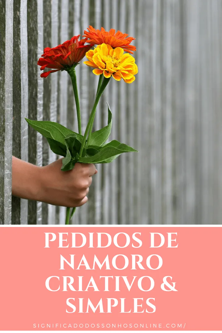 9111 115526 - Pedido De Namoro