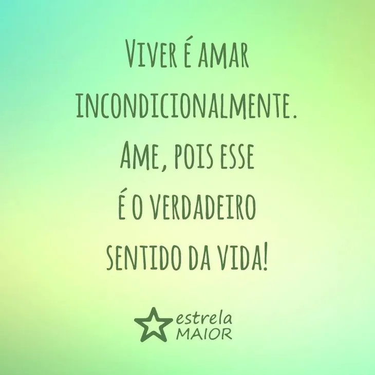 9132 95354 - Viver É