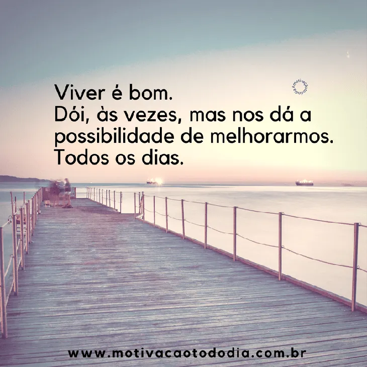 9132 95364 - Viver É