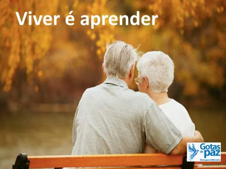 9132 95369 - Viver É