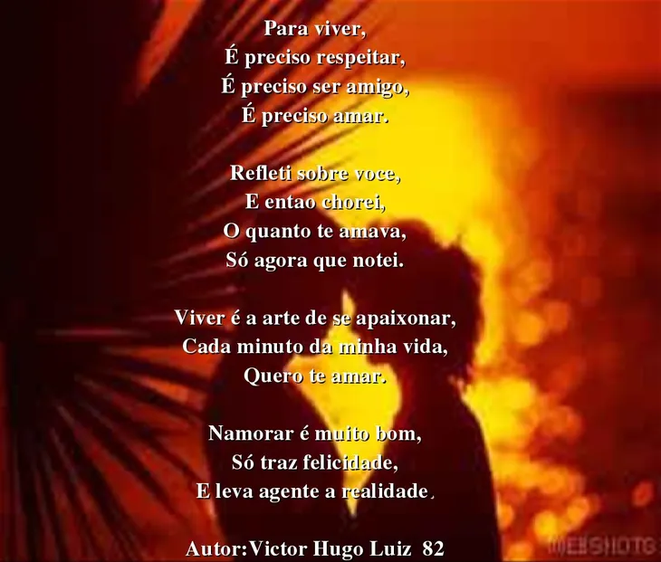 9199 89876 - Victor Hugo Poemas