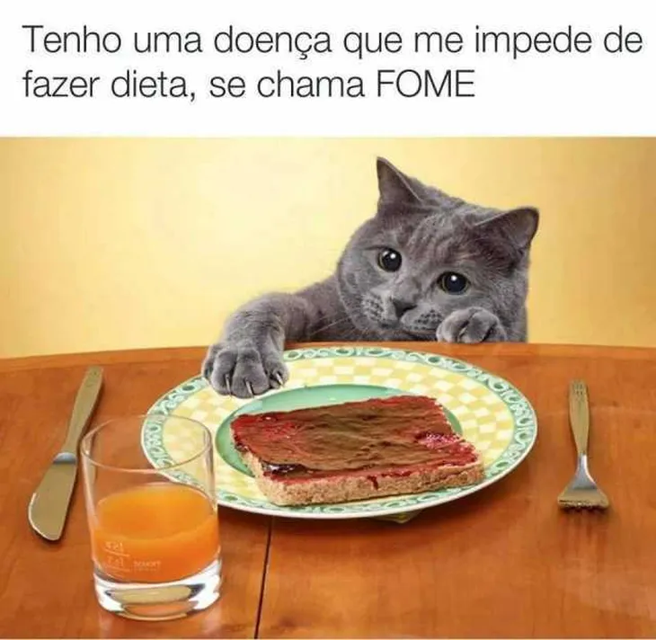 9216 93146 - Memes De Dieta