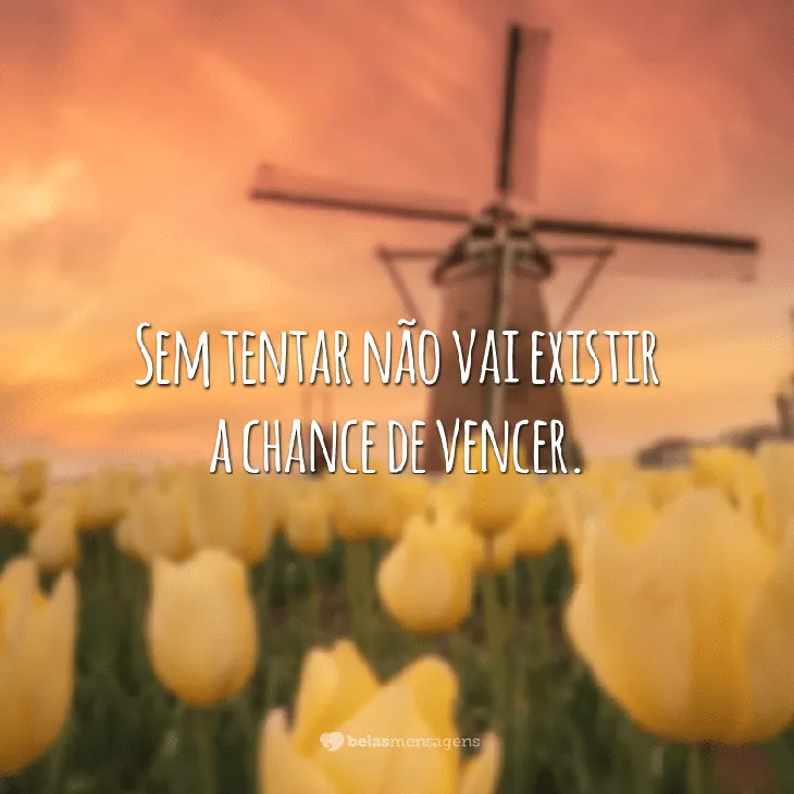 9238 77856 - Frases Tocantes
