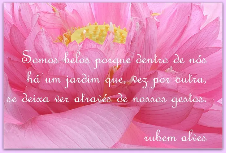 927 72896 - Rubens Alves Frases E Pensamentos