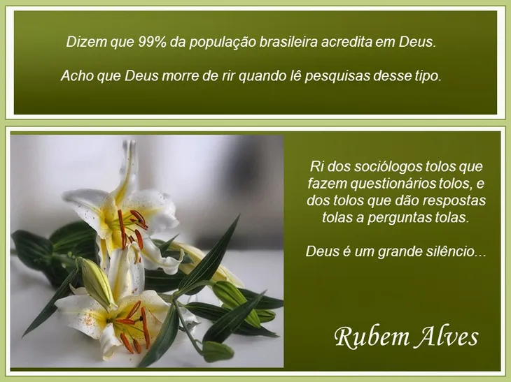 927 72899 - Rubens Alves Frases E Pensamentos