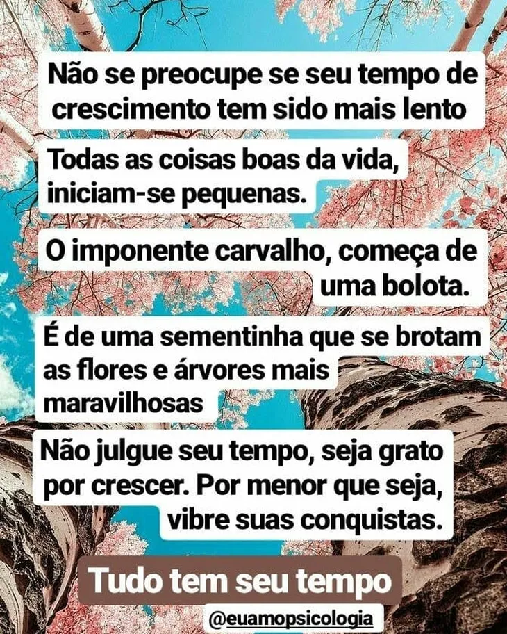 9277 57346 - Frases De Crescimento