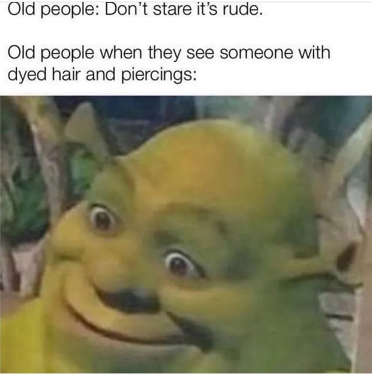 9337 29231 - Shrek Memes