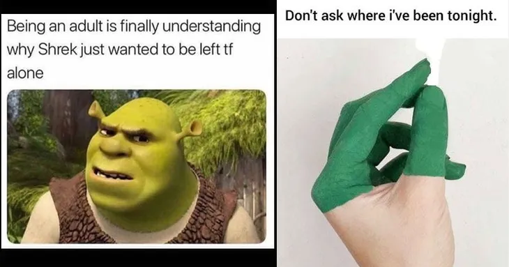 9337 29234 - Shrek Memes