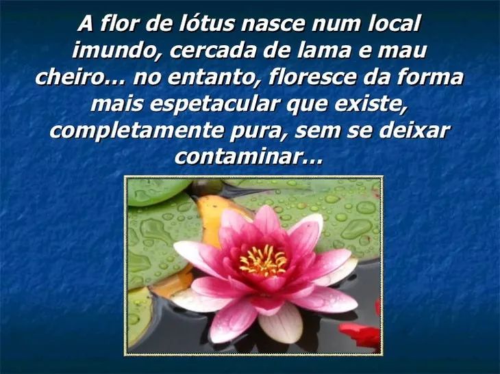 9384 45912 - Proverbios Budistas