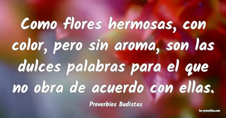 9384 45920 - Proverbios Budistas