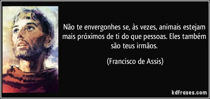 9413 42217 - Frases Sobre Diversidade