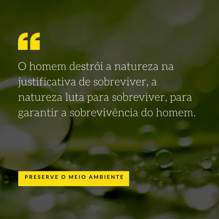 9413 42219 - Frases Sobre Diversidade