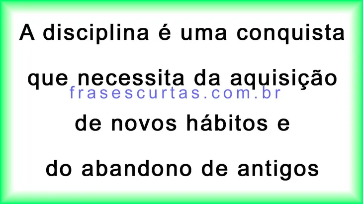 9563 34915 - Carlos Hilsdorf Frases