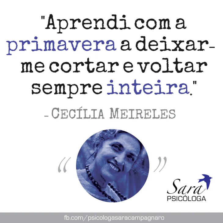 9577 32465 - Frases De Cecilia Meireles