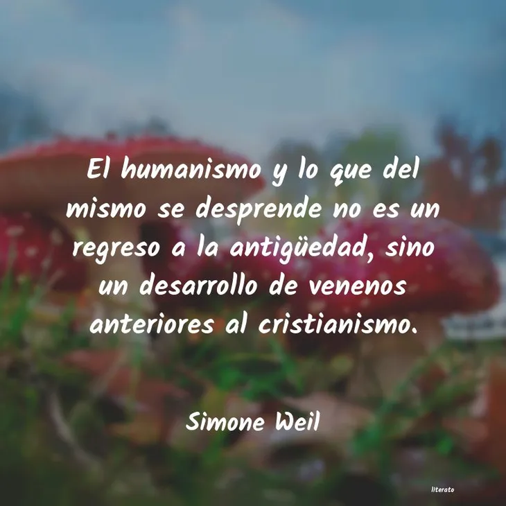 9579 17807 - Simone Weil Frases