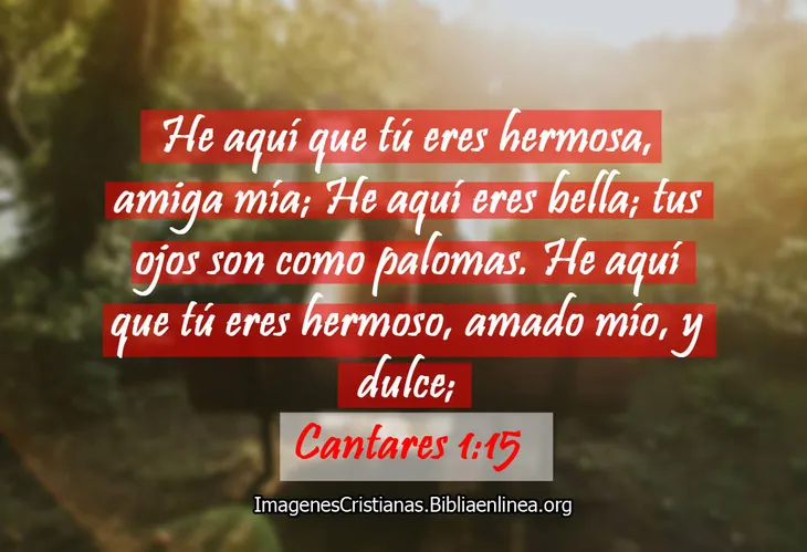 9583 88857 - Frases Bíblicas De Amor