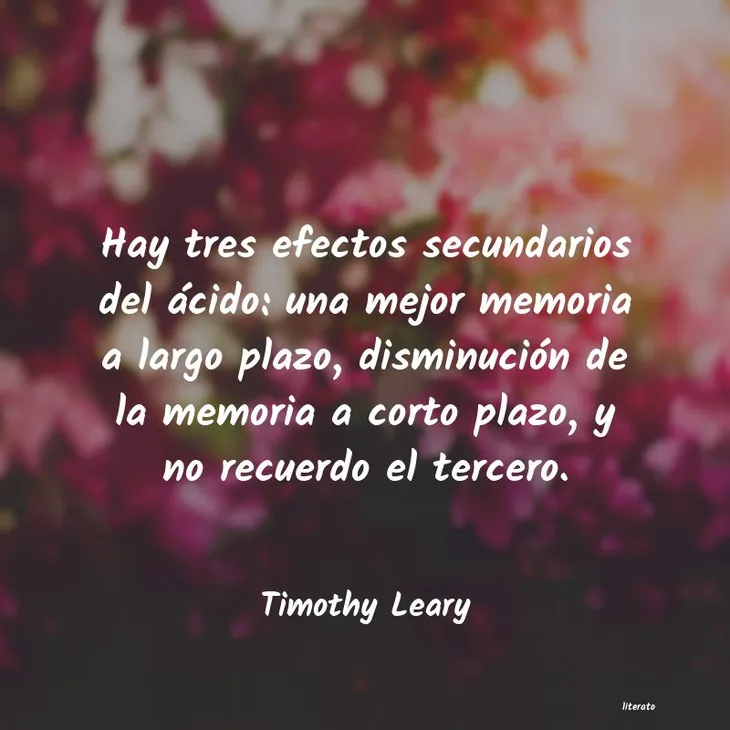 9597 104456 - Timothy Leary Frases