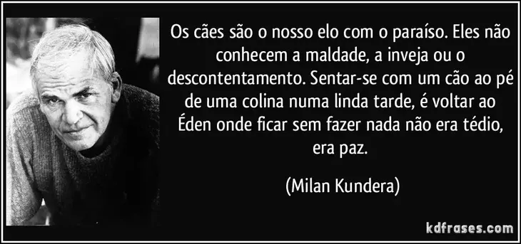 97 88358 - Frases Maldade