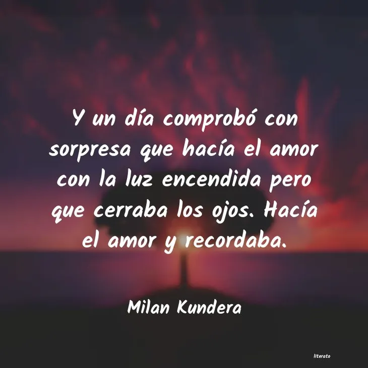 9980 78455 - Milan Kundera Frases