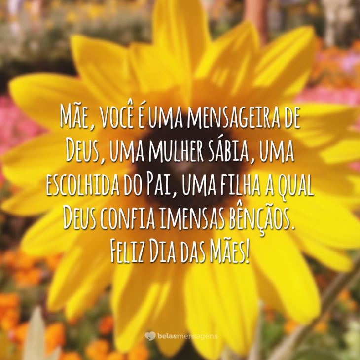 5e4298f731df6 - Frase De Mulher Sabia