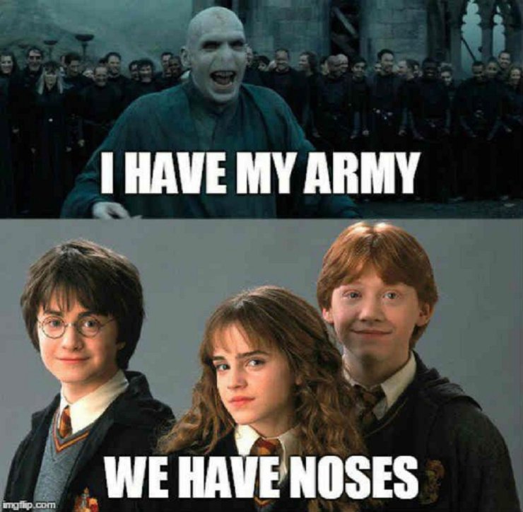 5e429b8d68eb7 - Harry Potter Memes Br