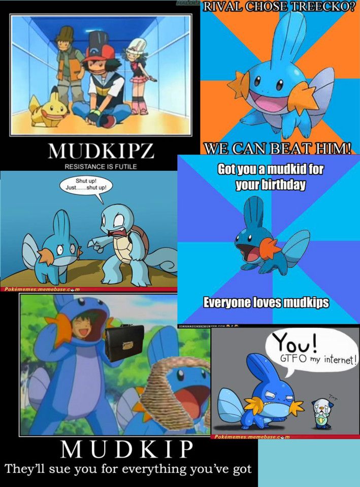 5e429d3575ea2 - Pokemon Memes