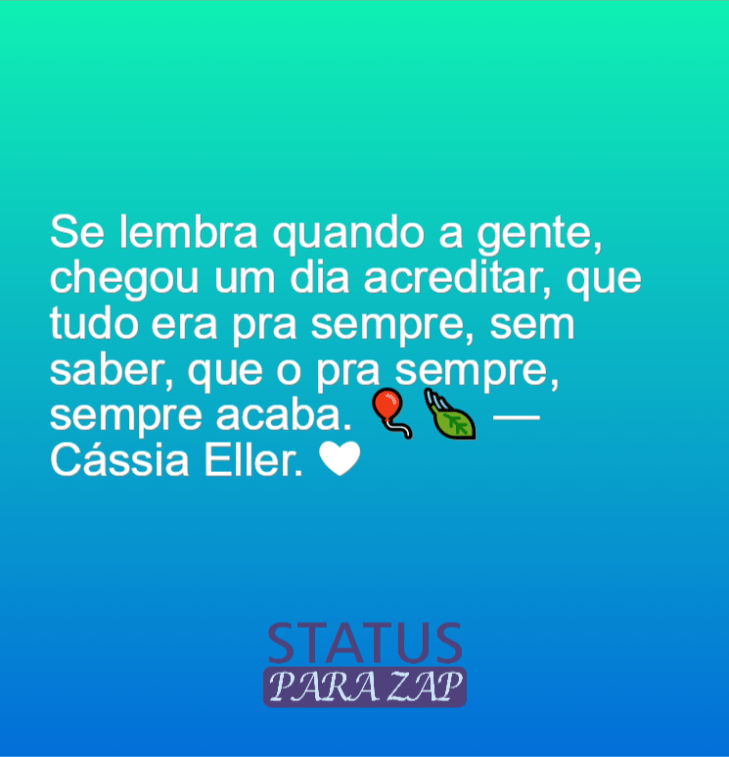5e429dacec422 - Frases Cassia Eller