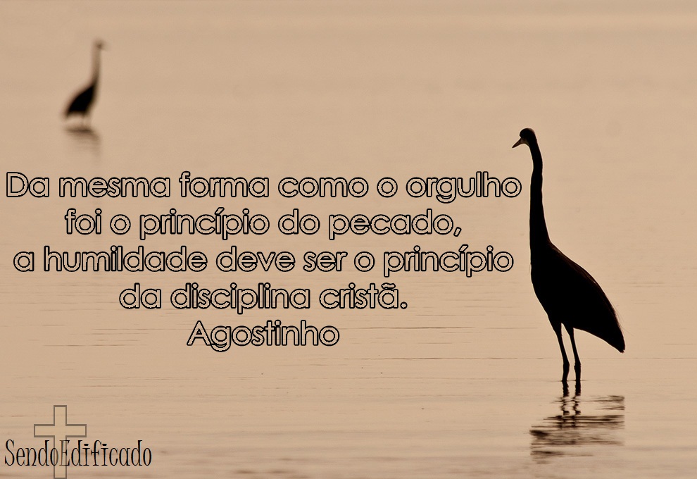 5e429ea533ad6 - Frases Agostinho De Hipona