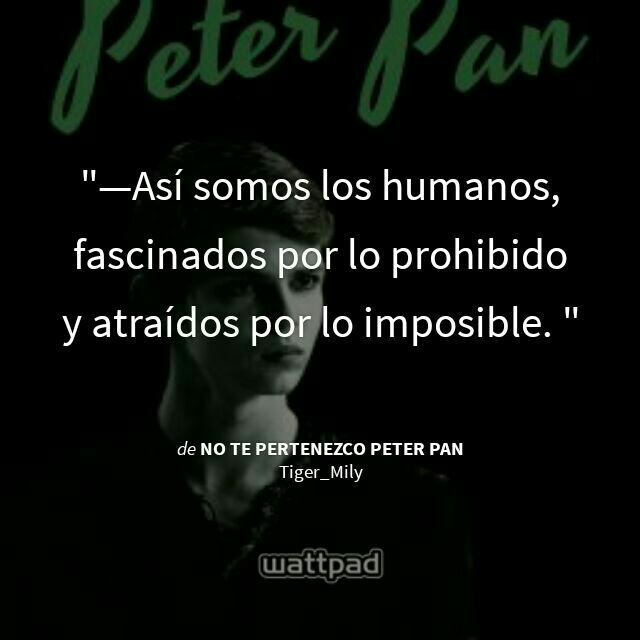 5e429fd9acb8a - Frases Peter Pan