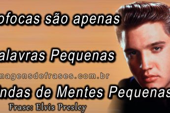 5e42a0862a22f 345x230 - Frases Elvis Presley