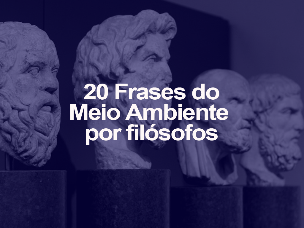 5e42a1c2a4abe - Frases Sobre Meio Ambiente