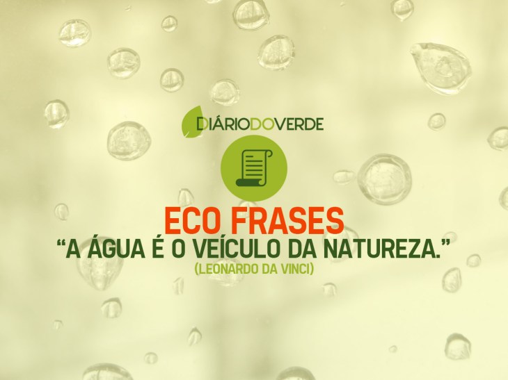 5e42a3118c1ba - Frases Sobre Ecologia