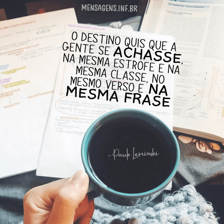 5e42a390b2c21 - Frase Leminski