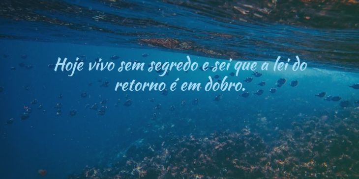 5e42a39203ad0 - Frases Tribo Da Periferia