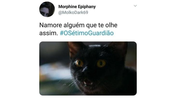 5e42a7d0cf4d2 - Memes Com Gatos