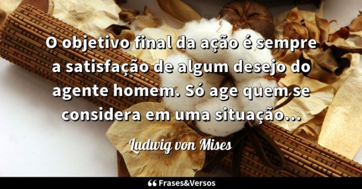 5e42afb1902dc - Ludwig Von Mises Frases