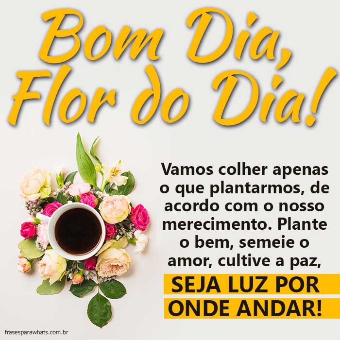 5e42b0c759d4a - Bom Dia Flor Do Dia