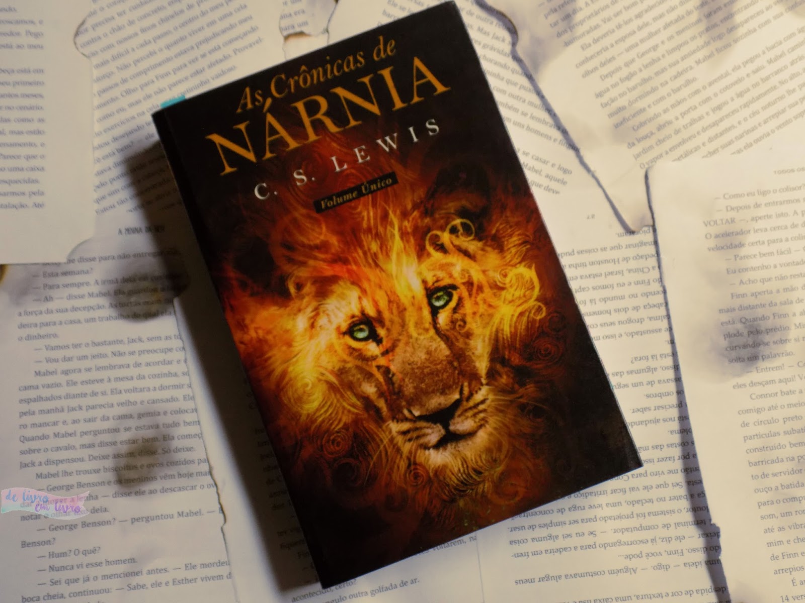 5e42b137ba076 - Porta De Narnia Tumblr